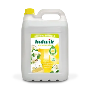 Ludwik Uniwersalny płyn z mydłem marsylskim 5 L