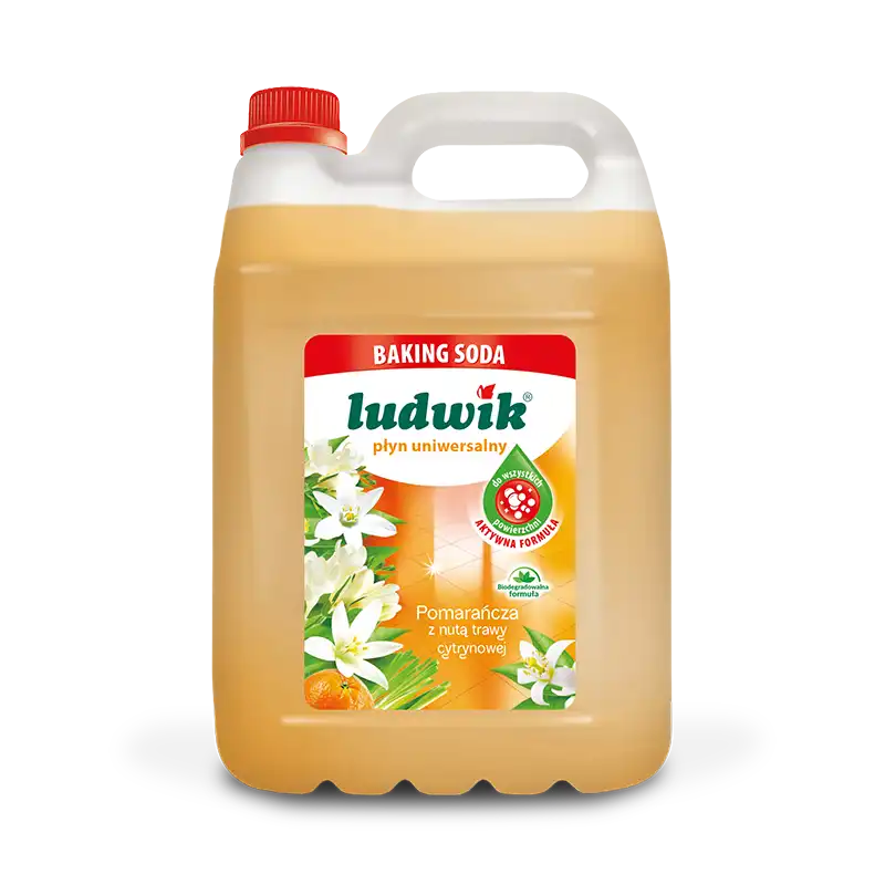 Ludwik Baking soda Płyn uniwersalny 5 L