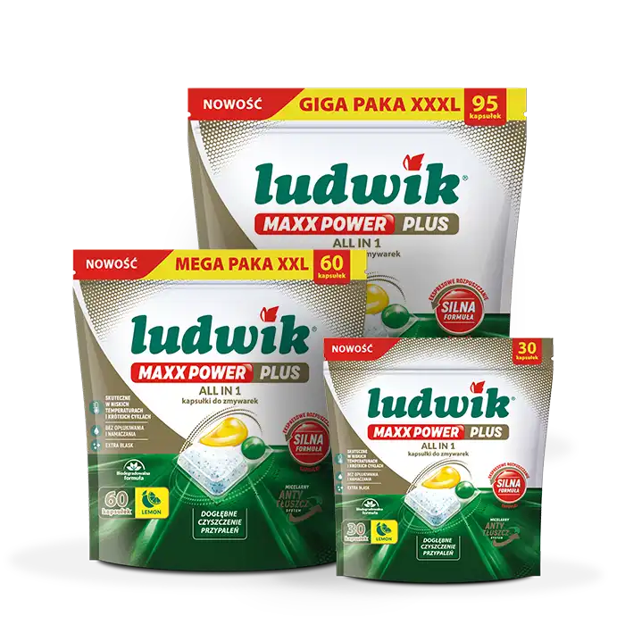 kapsułki MAXX POWER