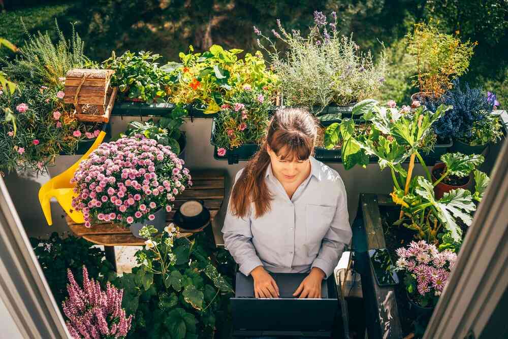 nawozy do roślin balkonowych
